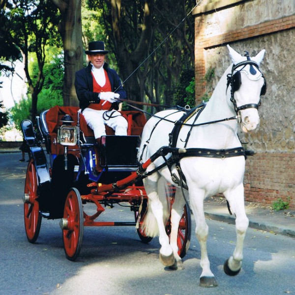  Horse carriage tour of the squares of Rome